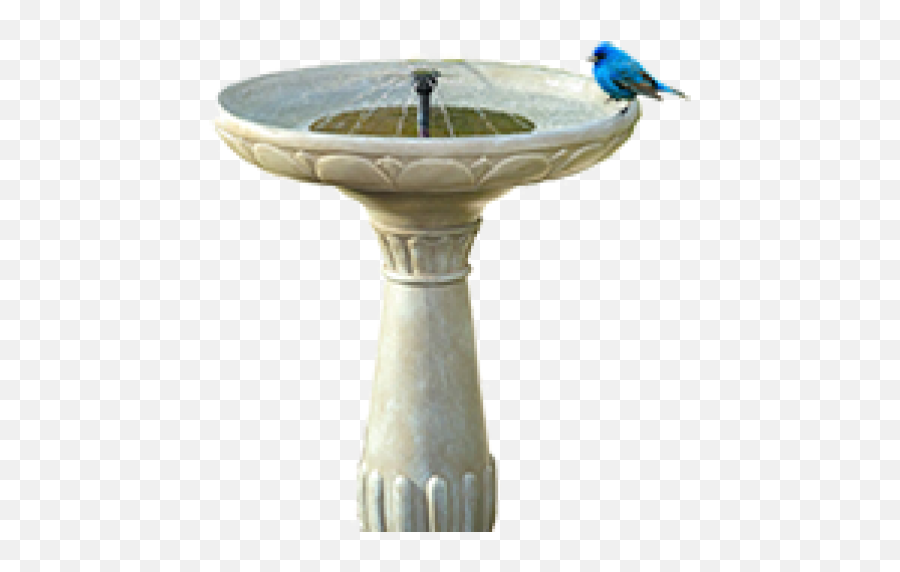 Cropped - Birdpng U2013 Home Owneru0027s Association Bird Bath,Pedestal Png