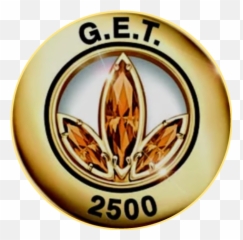 Download Millionaire Team Pin Herbalife - Png