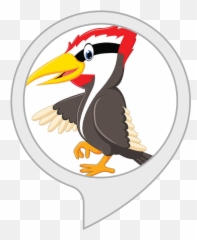 Alexa Skills - Woodpeckers Png,Woody Woodpecker Png
