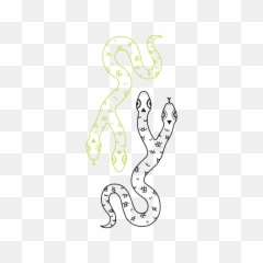 Camille Chew From Tattly Temporary Tattoos - Two Snakes Black Red png