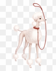 Love Nikki - Standard Poodle Png,Poodle Png