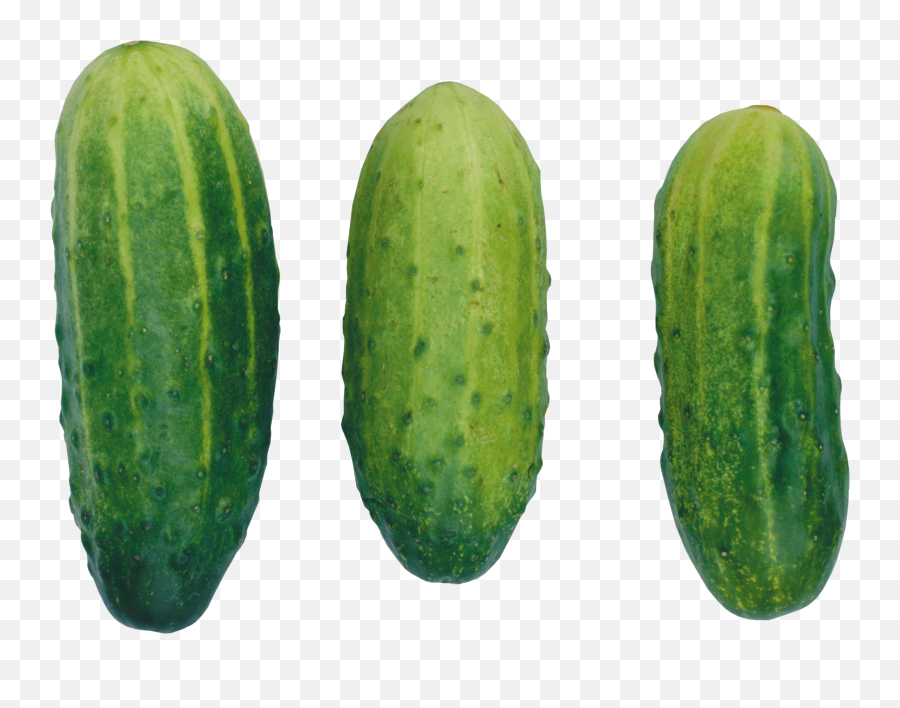 Cucumber Png - Cucumber Top Png,Cucumber Transparent