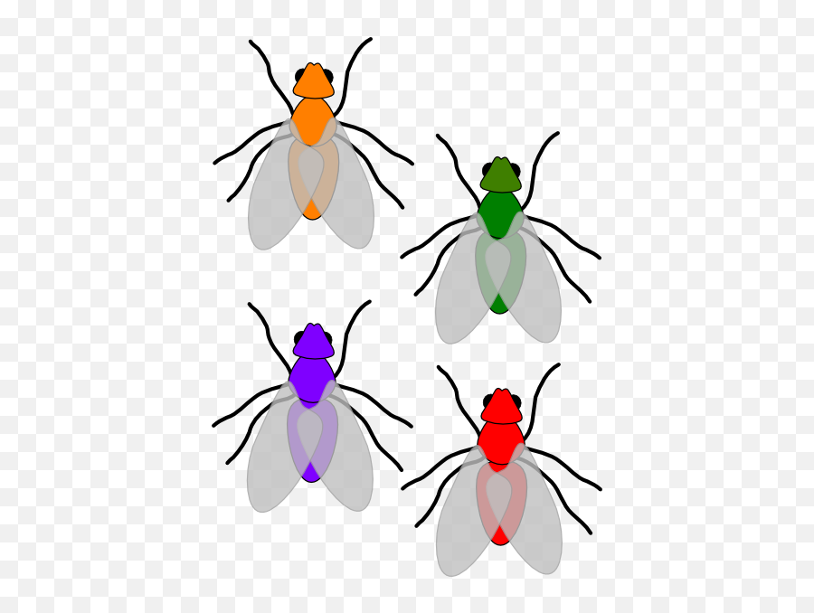 Multicoloured Flies Clip Art - Fly Clip Art Png,Fly Clipart Png