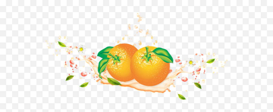 Tube Fruit Oranges Png Agrume - Naranjas Png Citrus Clementine,Oranges Png