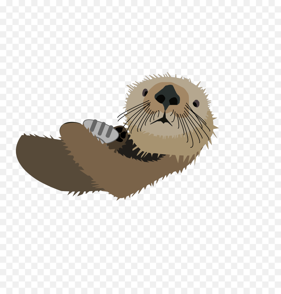 Otter Transparent Images Png - Cartoon Sea Otter Png,Otter Png