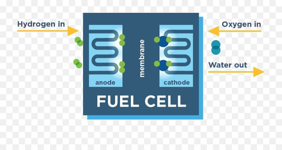 Fuel Cell U0026 Hydrogen Energy Association - Does Hydrogen Fuel Cell Work Png,Cell Png