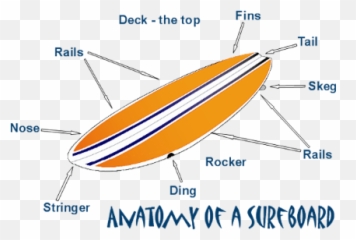 Parts Of Surfboard Calima Blog - Diagram png