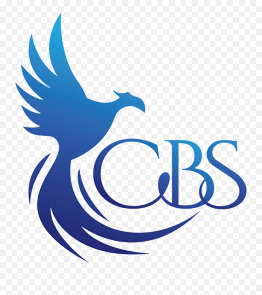 Blog Cbs Pursuits Angamaly - Automotive Decal Png,Cbs Png