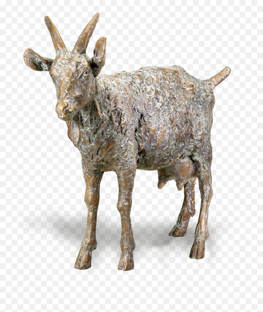 Bronze Sculpture Ziege By Friedhelm Zilly For Sale - Animal Figure Png,Goat Horns Png