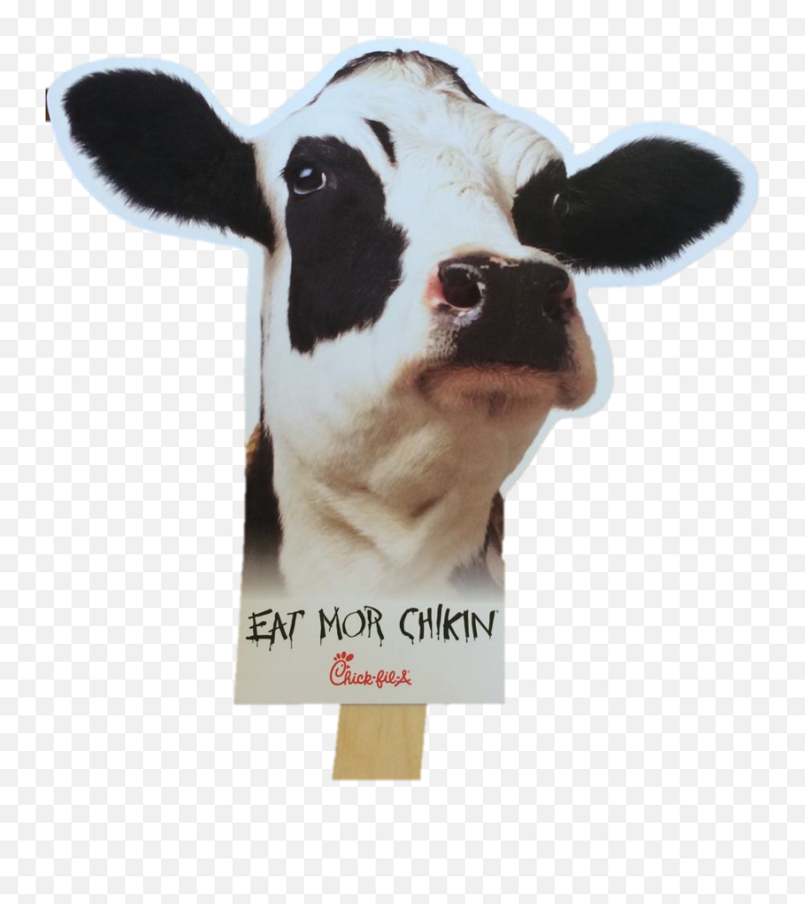 Eat Mor Chikin Cow Transparent Png - Chick Fil A Cows Eat Mor Chikin,Cow Transparent