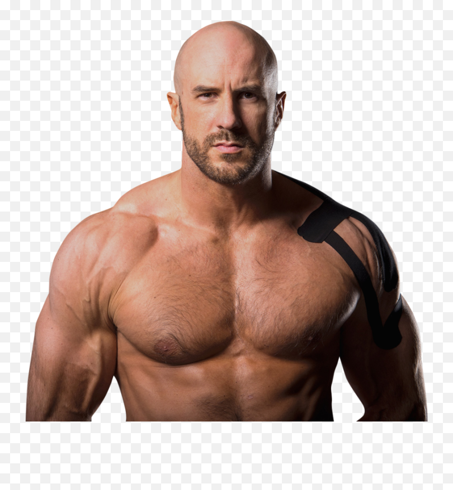 Cesaro Png Images In Collection - Wwe Cesaro Body,Cesaro Png