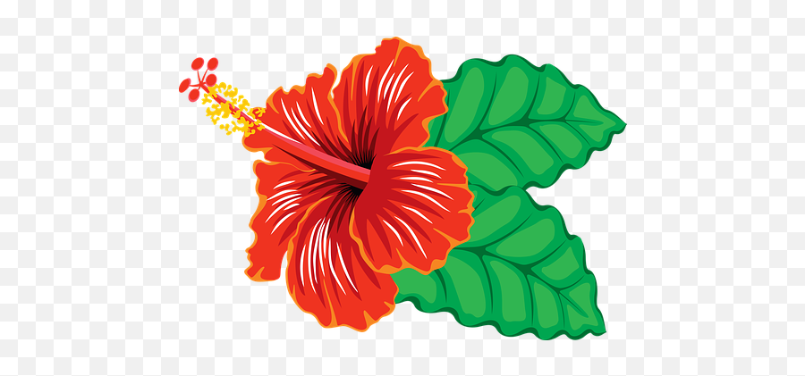 600 Free Tropical U0026 Fish Vectors - Pixabay Clipart Hibiscus Flower Png,Hawaiian Flower Icon