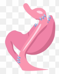 Obesity Center Png