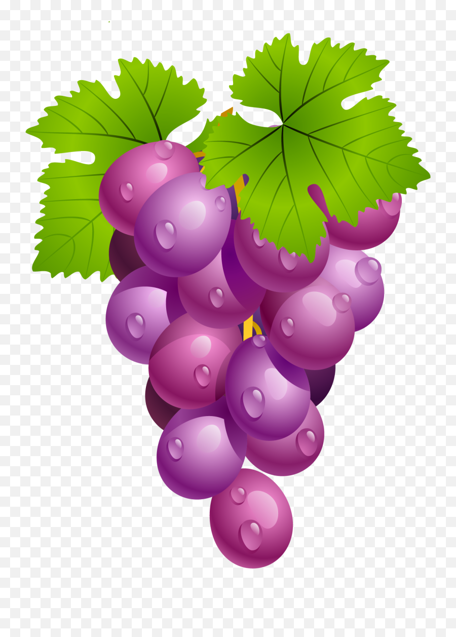 68 Fruit Clipart Imag Clip Art Grapes Clipartlook - Grapes Clipart Png,Fruit Clipart Png