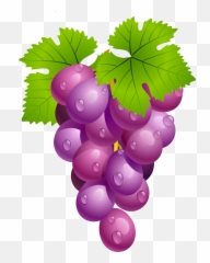 68 Fruit Clipart Imag Clip Art Grapes Clipartlook - Grapes Clipart Png,Fruit Clipart Png