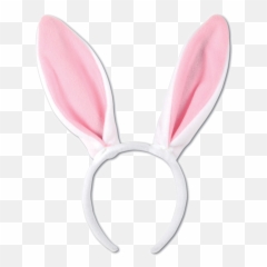 Download Soft - Rabbit png