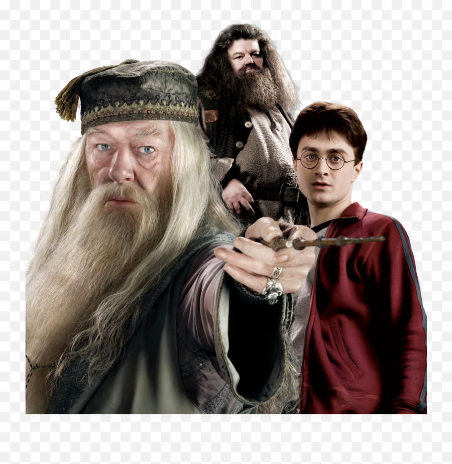 Download Hd Harry Potter Dumbledore - Harry Potter Hagrid And Dumbledore Png,Dumbledore Png