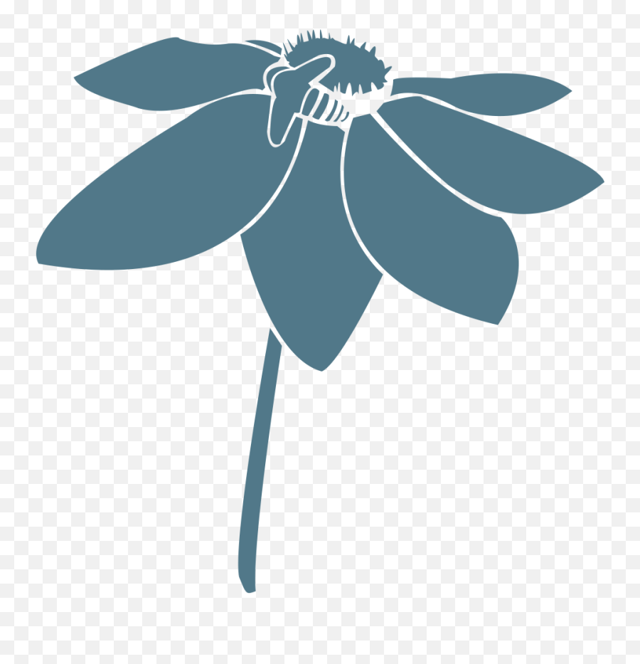 Team Nathan Wright Landscape Design - Flower Png,Blue Flower Icon