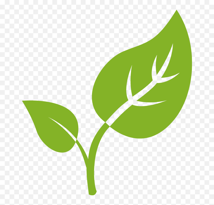 Green Lab - Iconos De Hojas Png,Small Leaf Icon