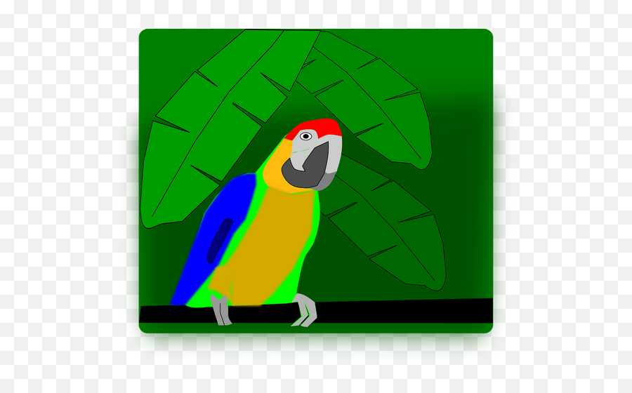 Animal Bird Nature Parrot Transparent Png Images U2013 Free - Parrots,Macaw Icon