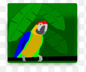 Animal Bird Nature Parrot Transparent Png Images U2013 Free - Parrots