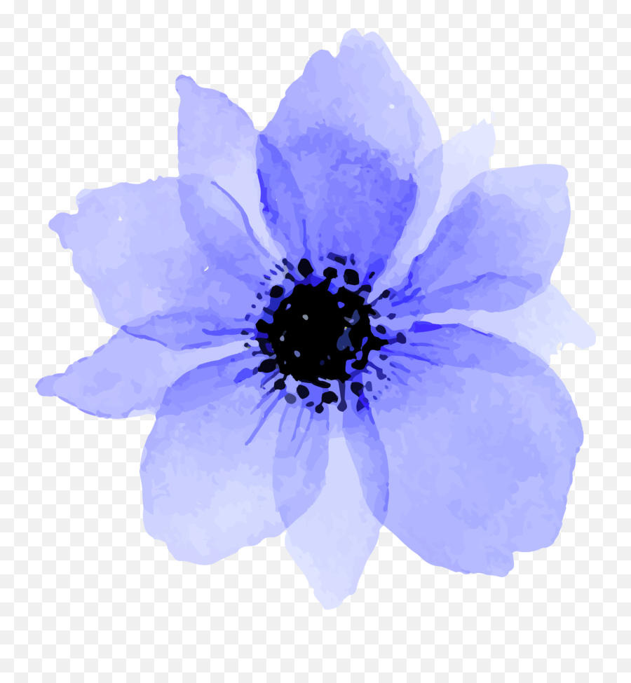 Download Blue Purple Flowers Flower - Watercolor Flower Png,Flowers Transparent Tumblr