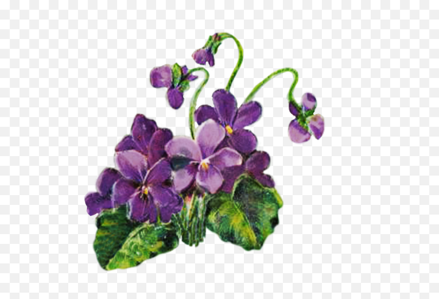 Digital Scrapbooking Flowers - Violets Transparent Background Png,Flower Clipart Transparent