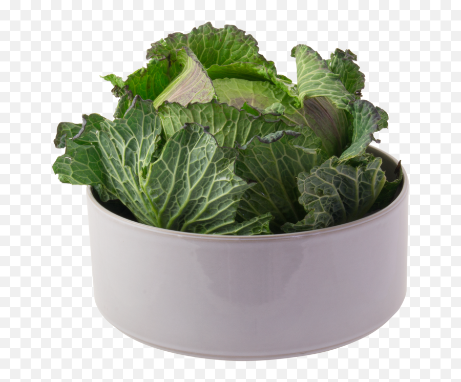 Grand Saladier Haut Big Salad Bowl U2014 2610 Vegetables - Spring Greens Png,Salad Bowl Png