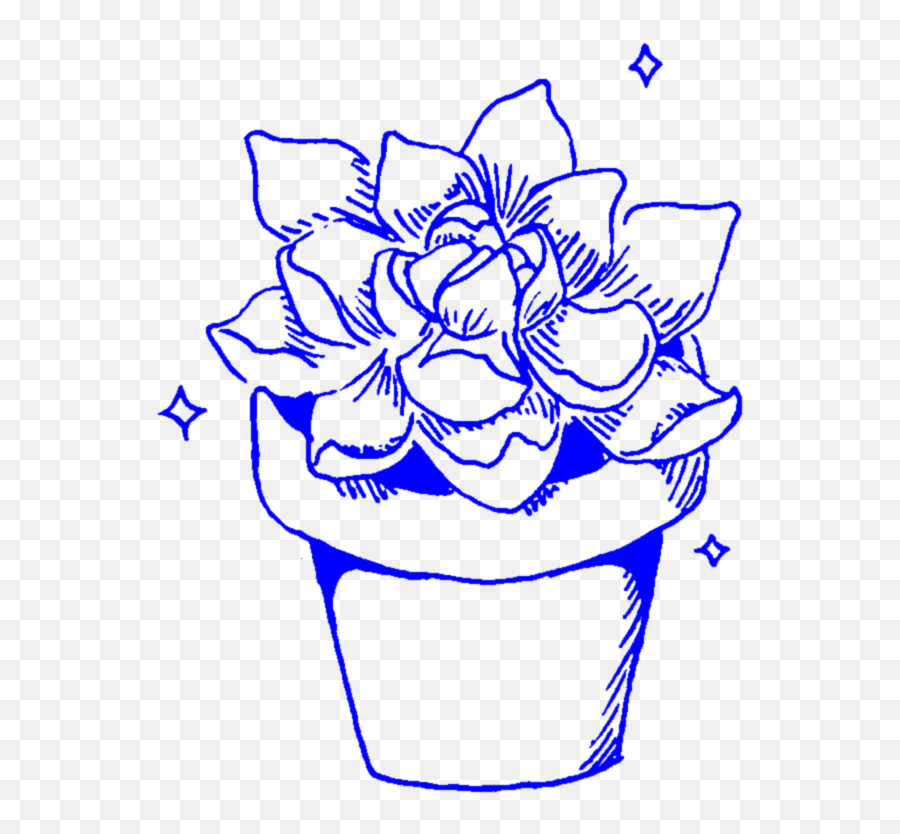 Aesthetic Succulent Succulents Cactus - Transparent Background Aesthetic Aesthetic Succulents Png,Succulent Png