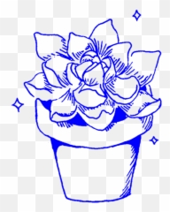 Aesthetic Succulent Succulents Cactus - Transparent Background Aesthetic Aesthetic Succulents Png,Succulent Png