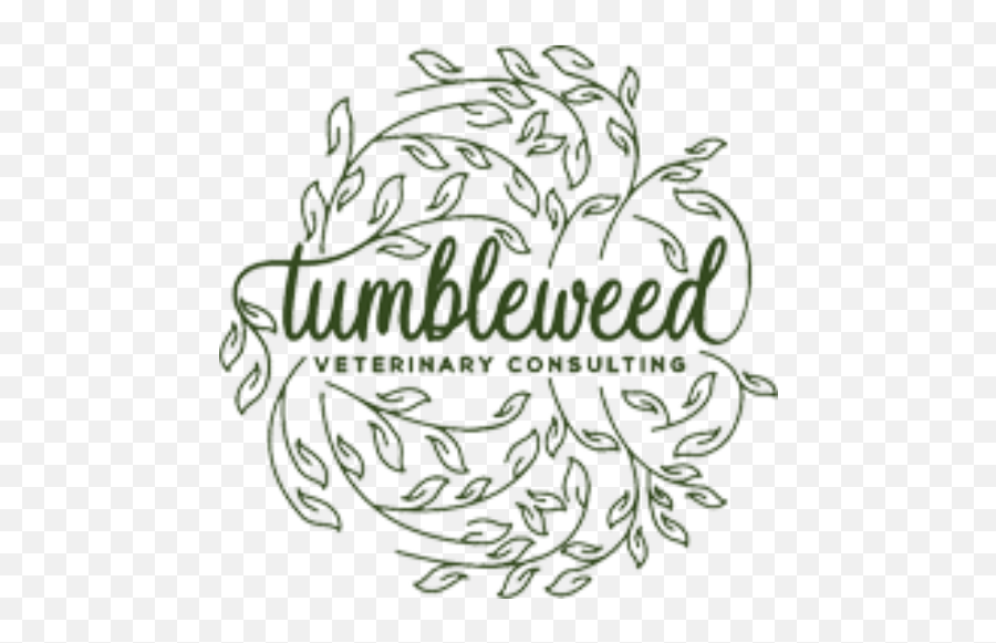 About Tumbleweed Veterinary Consulting Cinnaminson Nj - Illustration Png,Tumbleweed Png
