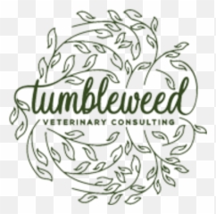 About Tumbleweed Veterinary Consulting Cinnaminson Nj - Illustration Png,Tumbleweed Png