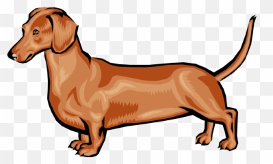 Dachshund - Dachshund Vector File Free Png,Dachshund Png