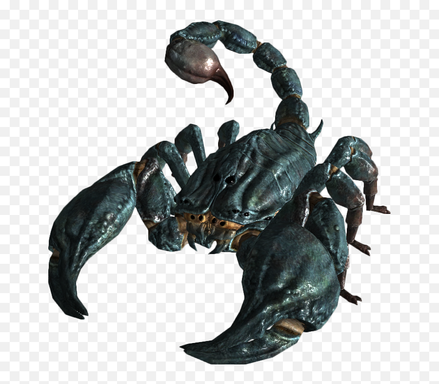 Scorpion Png - Giant Scottish Scorpion,Scorpion Png