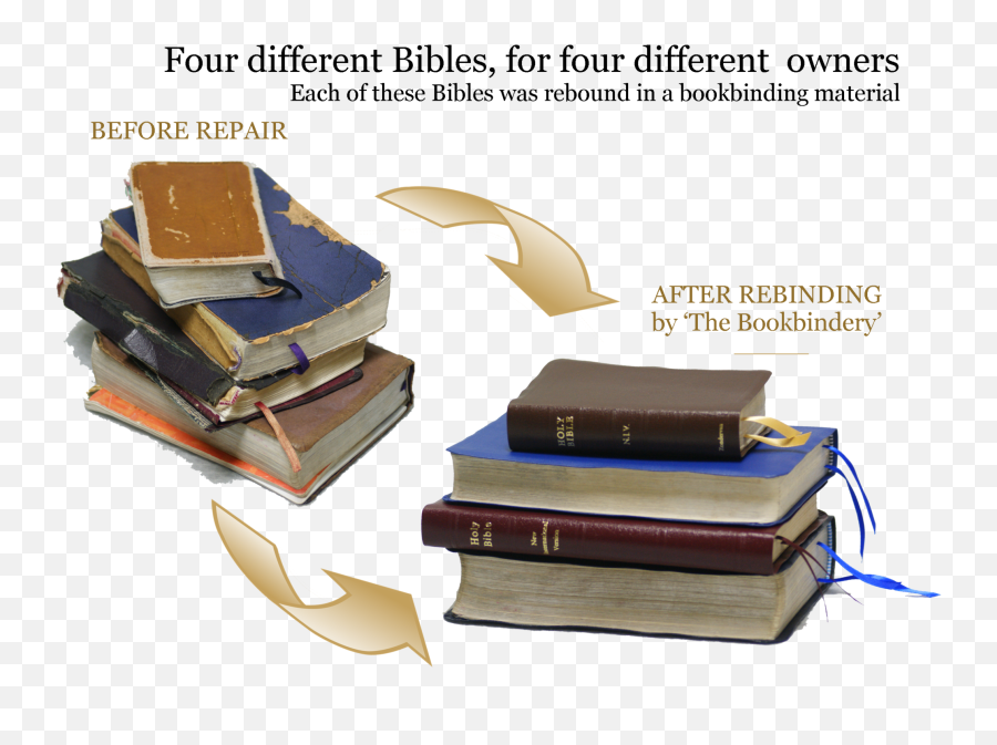 Holy Bible And Family Repair Restoration The - Leather Png,Holy Bible Png