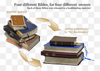 Holy Bible And Family Repair Restoration The - Leather png
