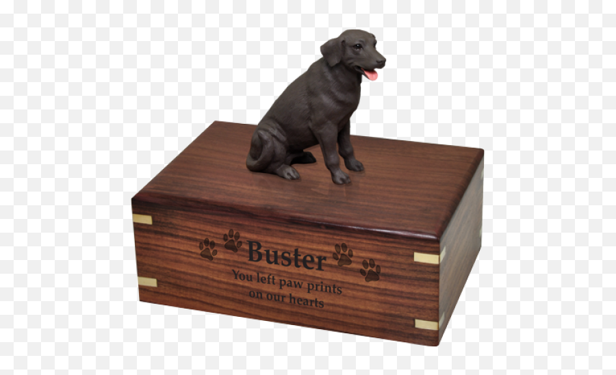 Chocolate Labrador Retriever Figurine - Dachshund Cremation Urns Png,Black Lab Png
