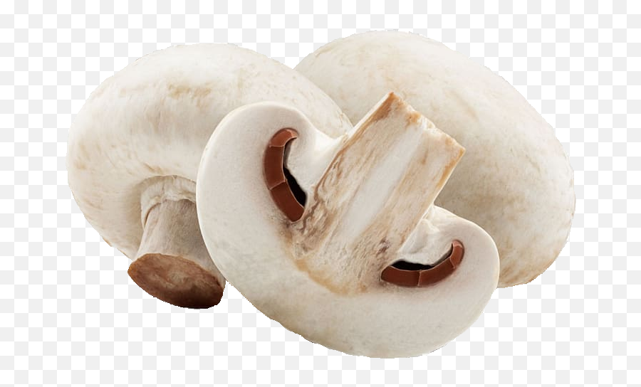 Download White Mushrooms Png Transparent - Uokplrs Hongos Comestibles Png,Mario Mushroom Png