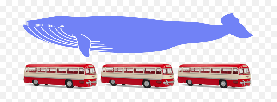 Filewhale Measures As Three Busespng - Wikimedia Commons Commercial Vehicle,Bus Png