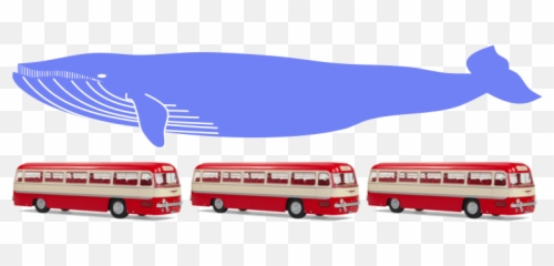 Filewhale Measures As Three Busespng - Wikimedia Commons Commercial Vehicle,Bus Png
