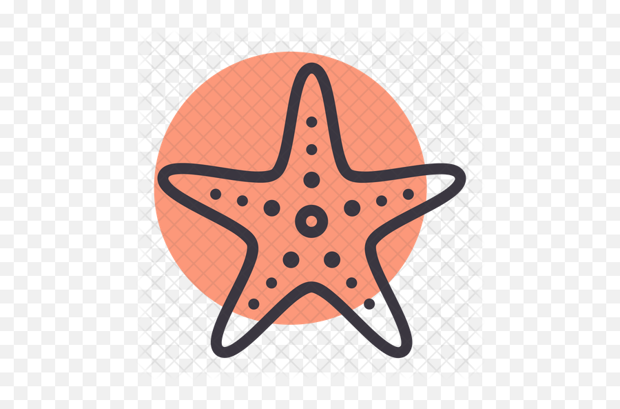 Starfish Icon - Sea Star Vector Png,Starfish Clipart Png