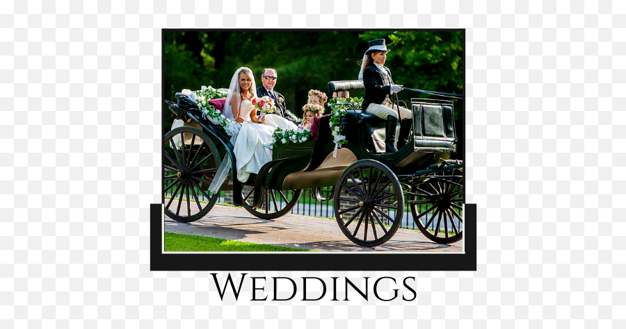 Take The Magic With You Camden Carriage Company Sc - Coachman Png,Carriage Png