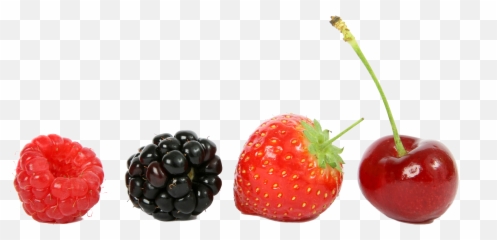 Raspberry Strawberry Cherry - Free Photo On Pixabay Blackberry Fruit Png,Blackberries Png