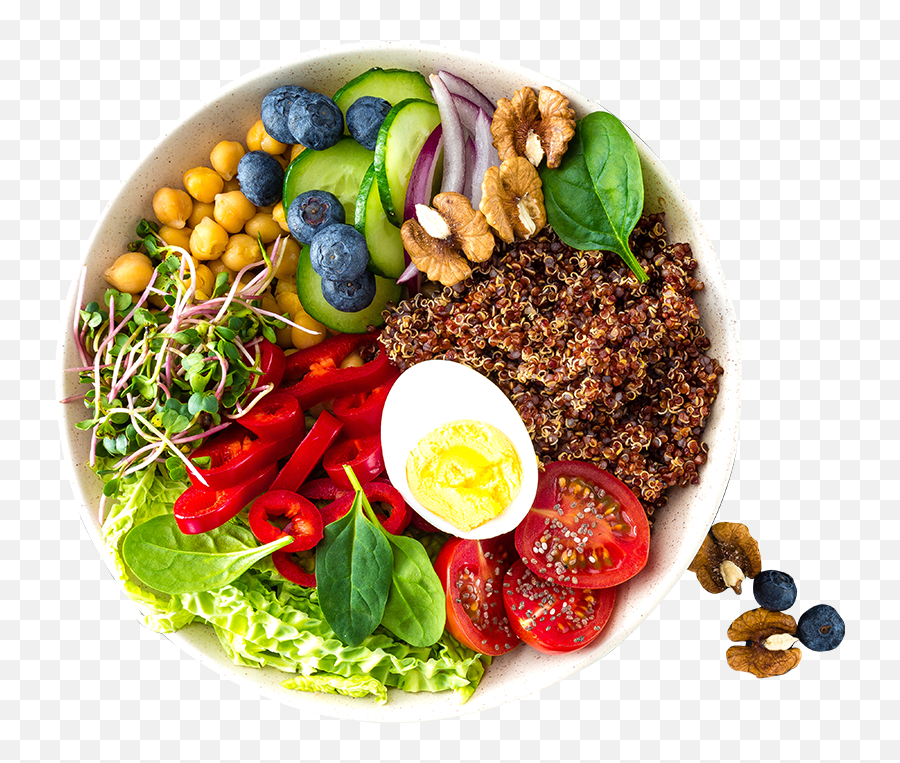 The Power Of Protein Optifast - Protein Meal Png,Protein Png