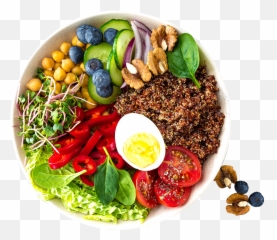 The Power Of Protein Optifast - Protein Meal Png,Protein Png
