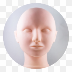 With Replaceable Skin - For Adult Png,Mannequin Head Png