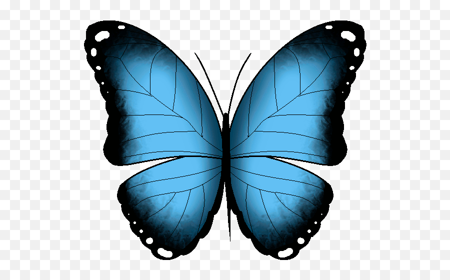 Find Make For Butterfly Animated Gif Transparent 110yll - Transparent Butterfly Gif Png,Butterfly Gif Transparent