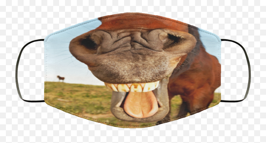 Horse Smile Face Mask - Pferd Auf Dem Flur Png,Horse Mask Png