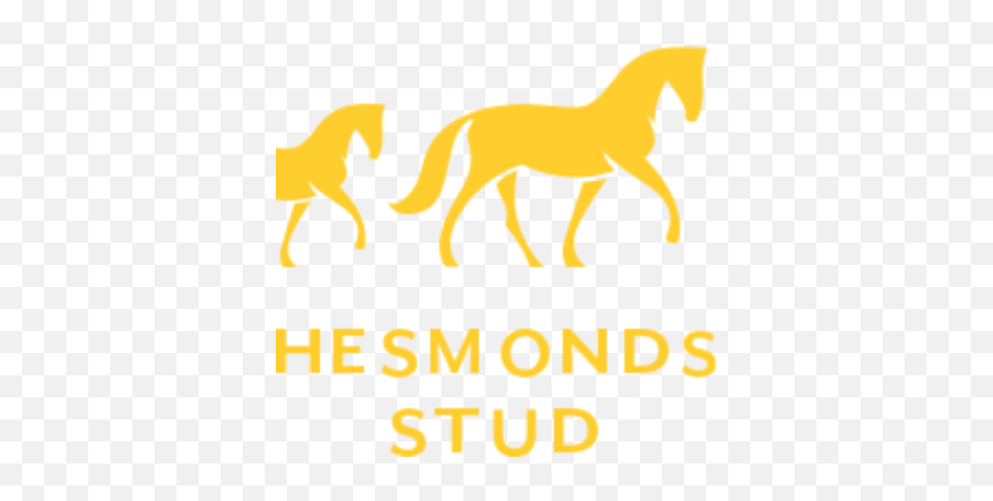 Hesmonds Stud - Sumbe English Animal Figure Png,Chariot Icon
