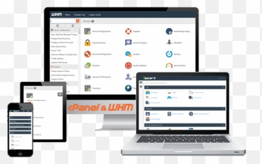 Cheap Whm Master Reseller Hosting Starting 199 Mo - Reseller Cpanel Hosting Png,Litespeed X Icon Review